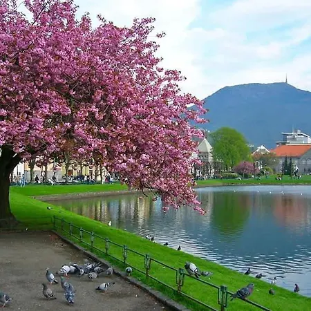 度假居 Beautiful Near Bryggen Balcony Fireplace