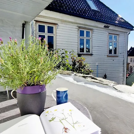 Beautiful Near Bryggen Balcony Fireplace 卑爾根